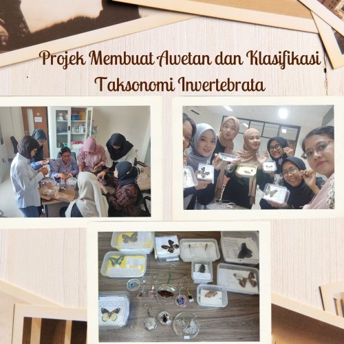 Projek Membuat Awetan&Klasifikasi Taksonomi Invertebrata